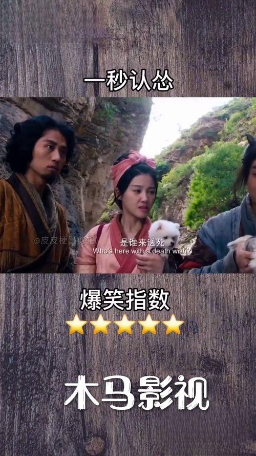 国产经典剧收藏在线观看,国产剧收藏在线观看之旅