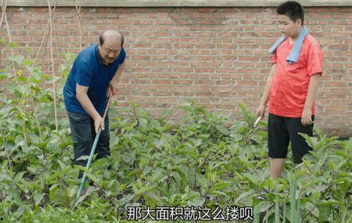 农村国产自在线拍,揭秘乡村生活新风尚