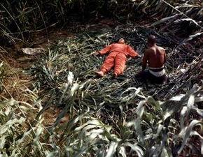 国产野合在线观看,揭秘网络热剧背后的激情与争议