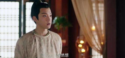 青青青在线视频国产剧情,青青校园的青春旋律