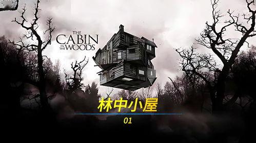 林中小屋国产在线观看,国产悬疑惊悚，在线观看带你揭秘神秘事件